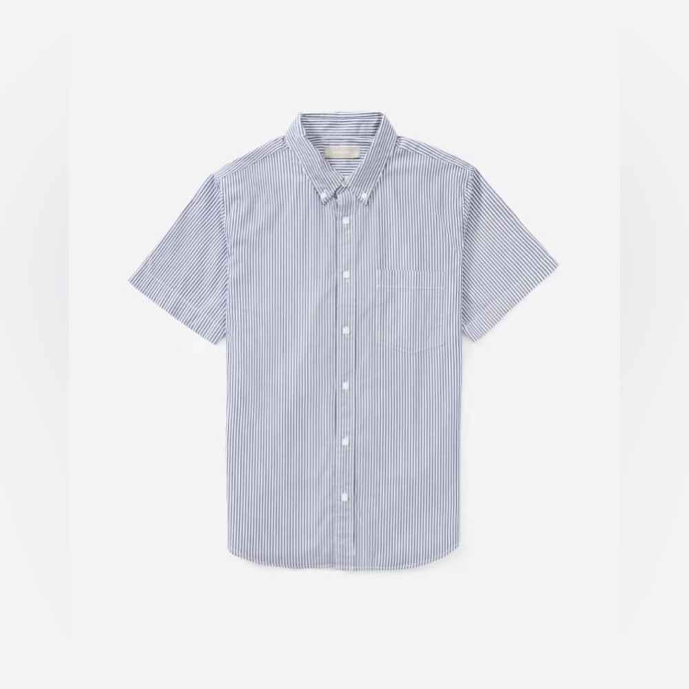 Everlane Blue Striped Casual Button Down Shirt